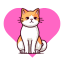 no Chat