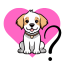no Chien