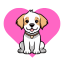 no Chien