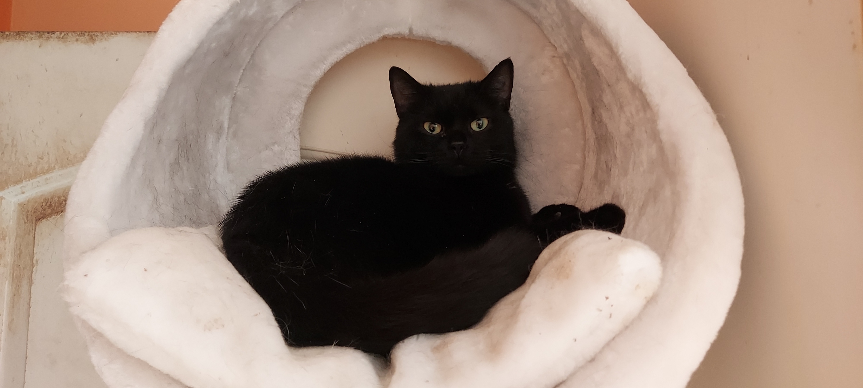 Coco Chanel