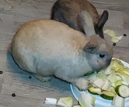 Caramel