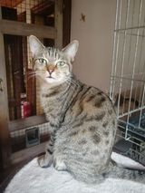 louna