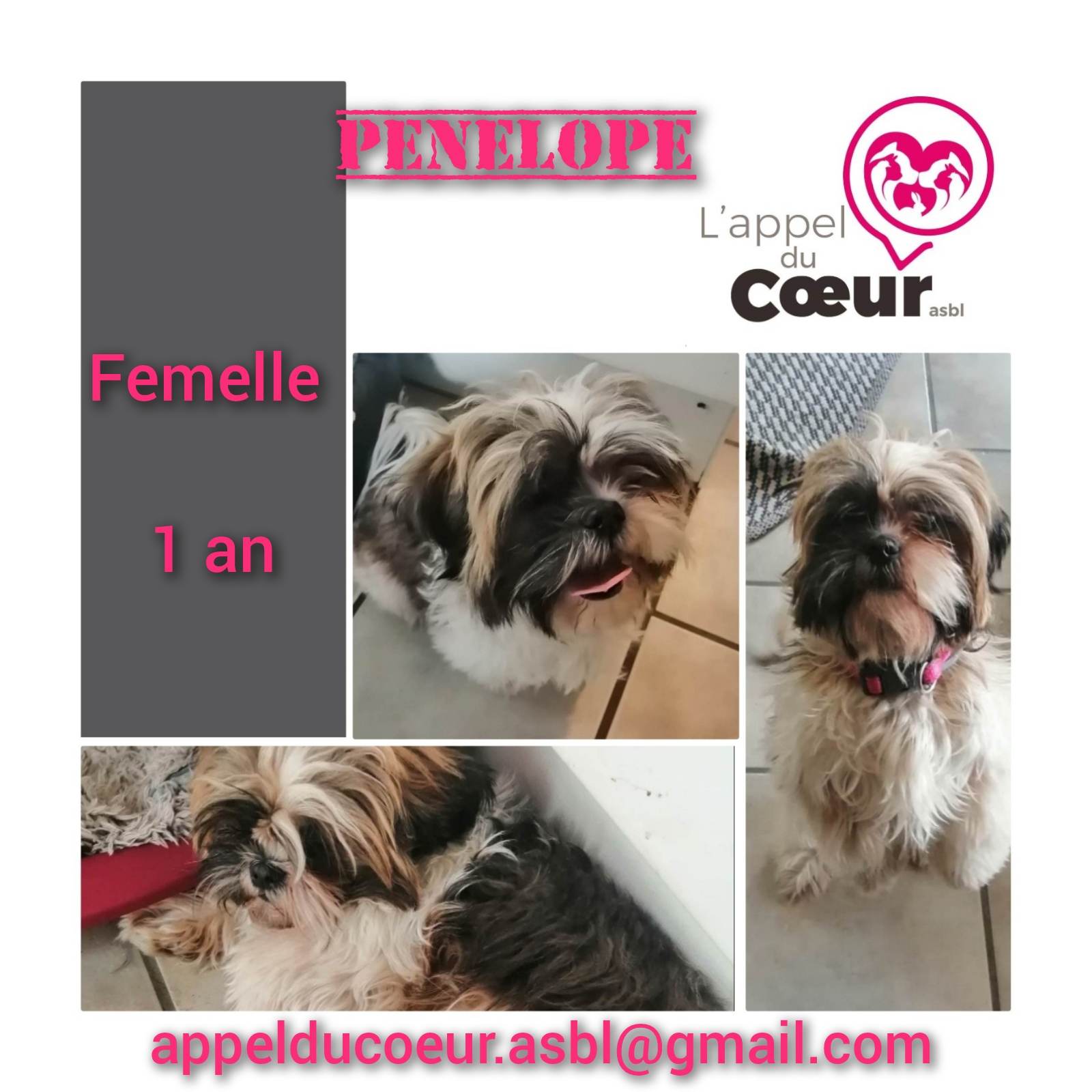Pénélope > Charlotte