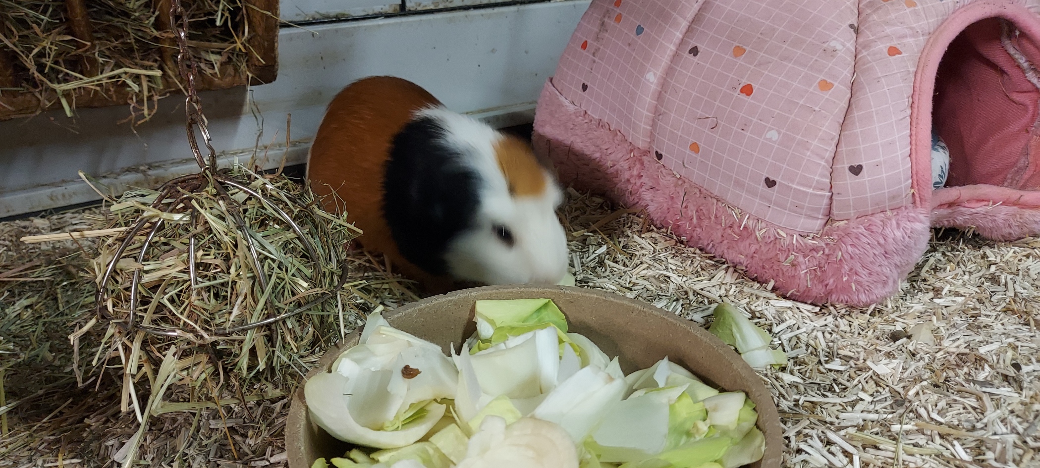 Tango
