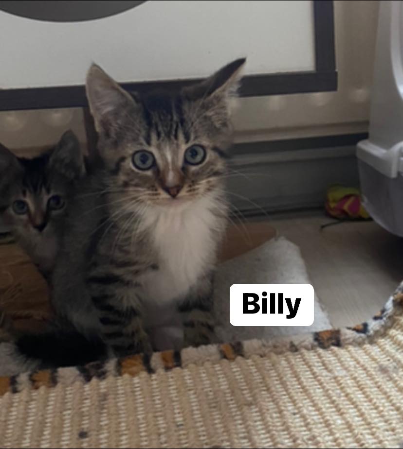 Billy