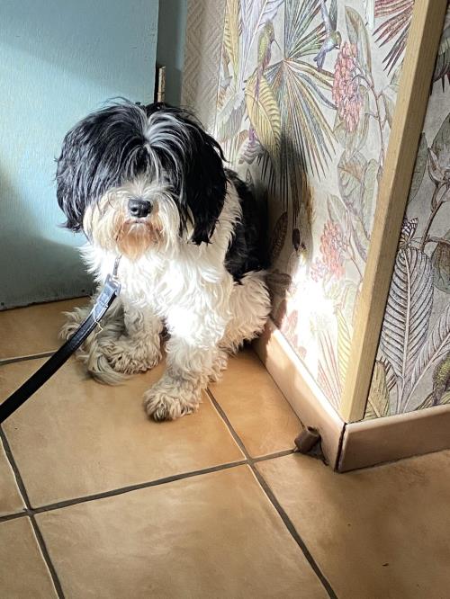 Louna