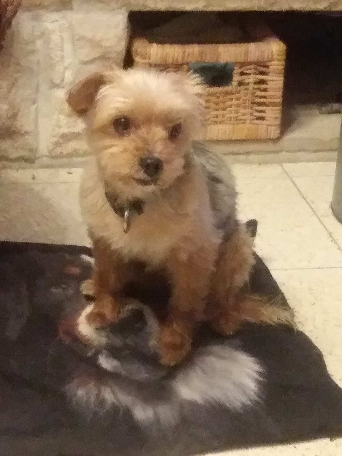 Lucie