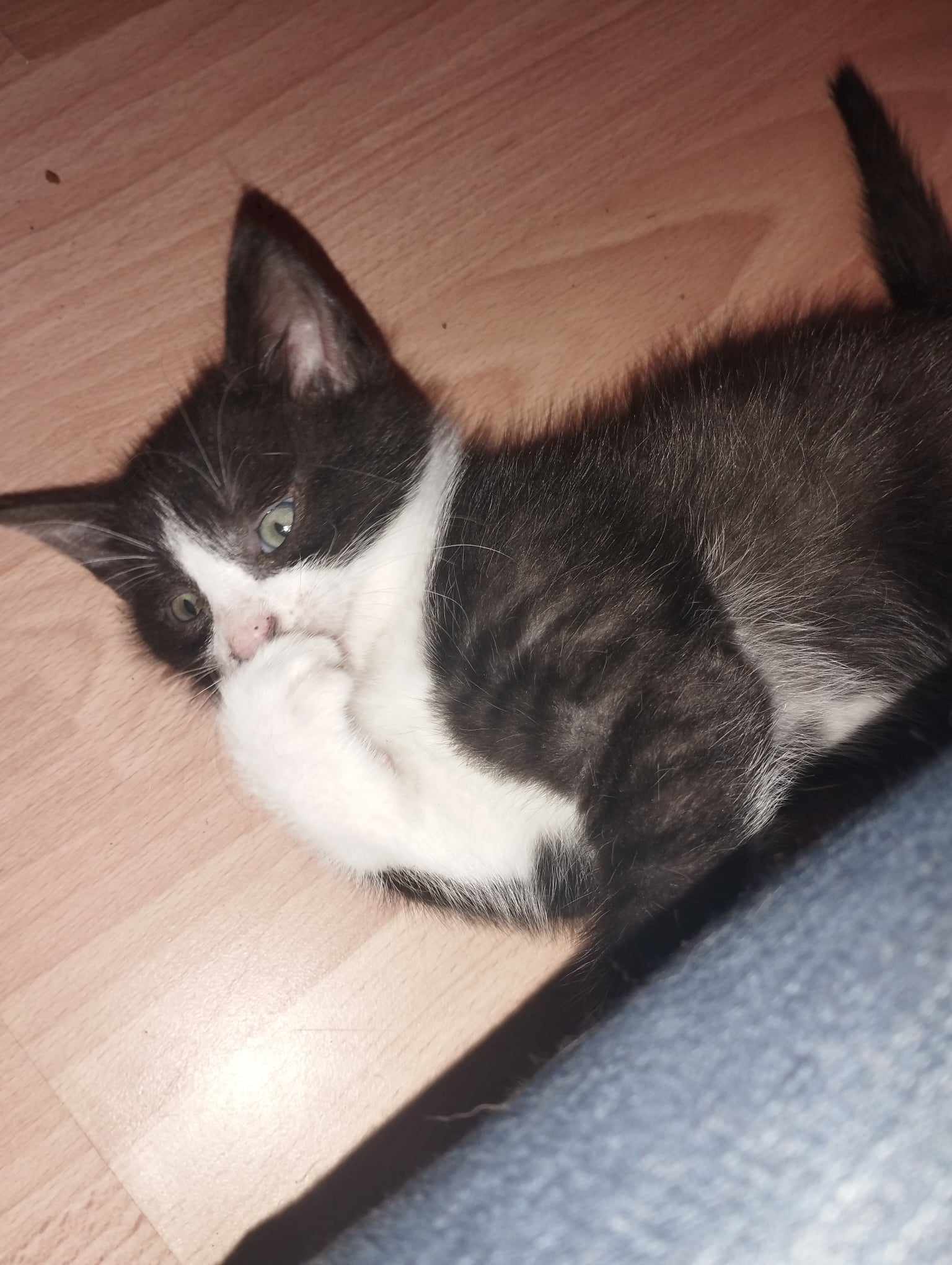 Pixie