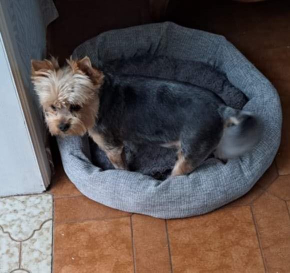 Roméo