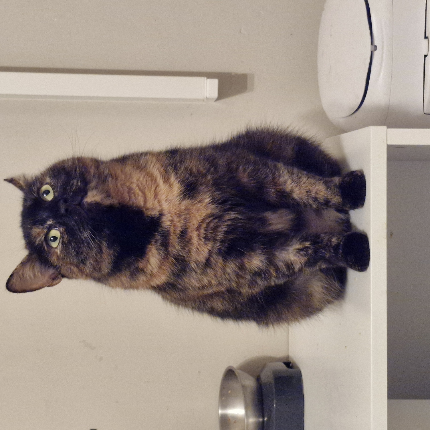 Juliette