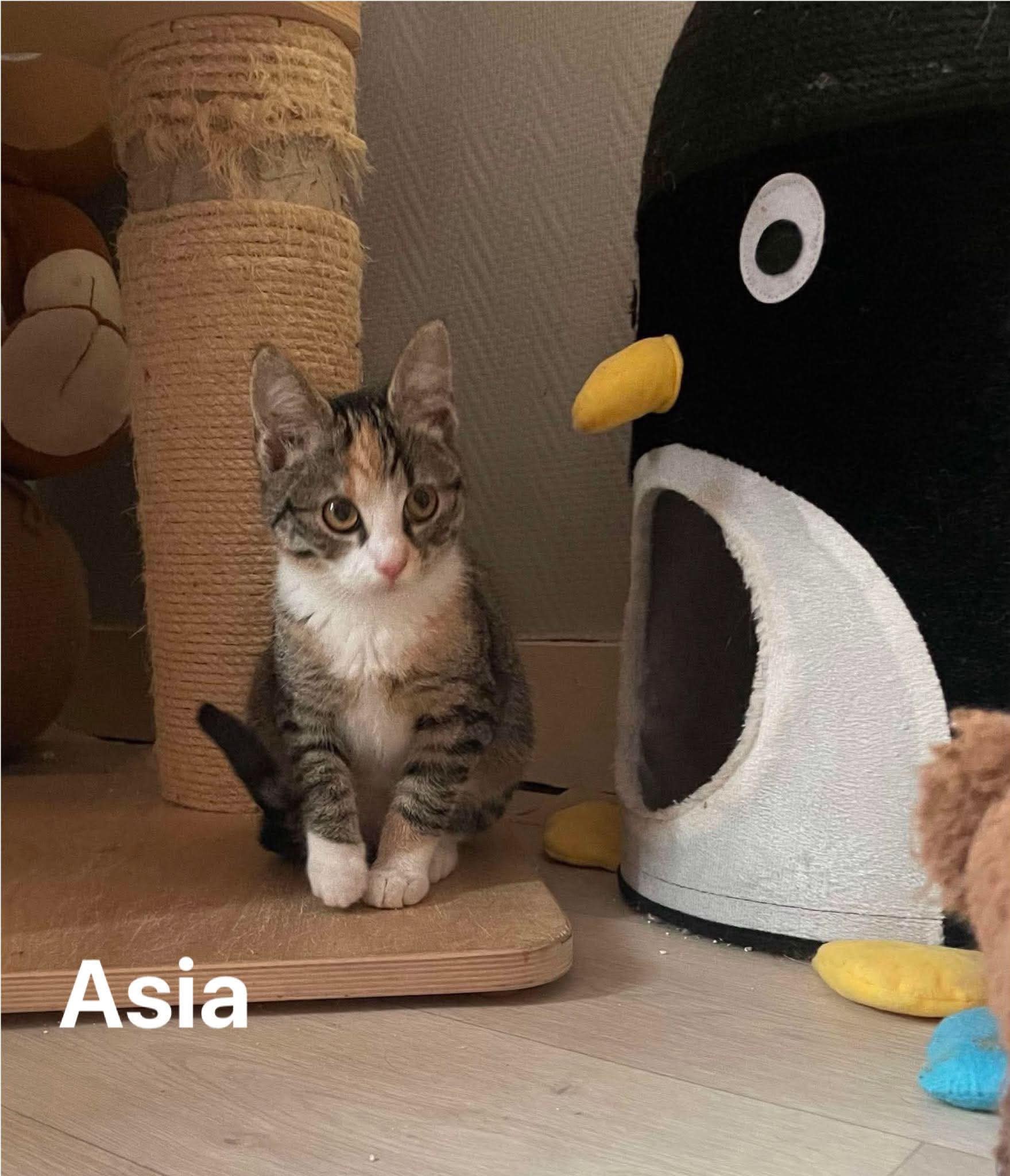 Asia