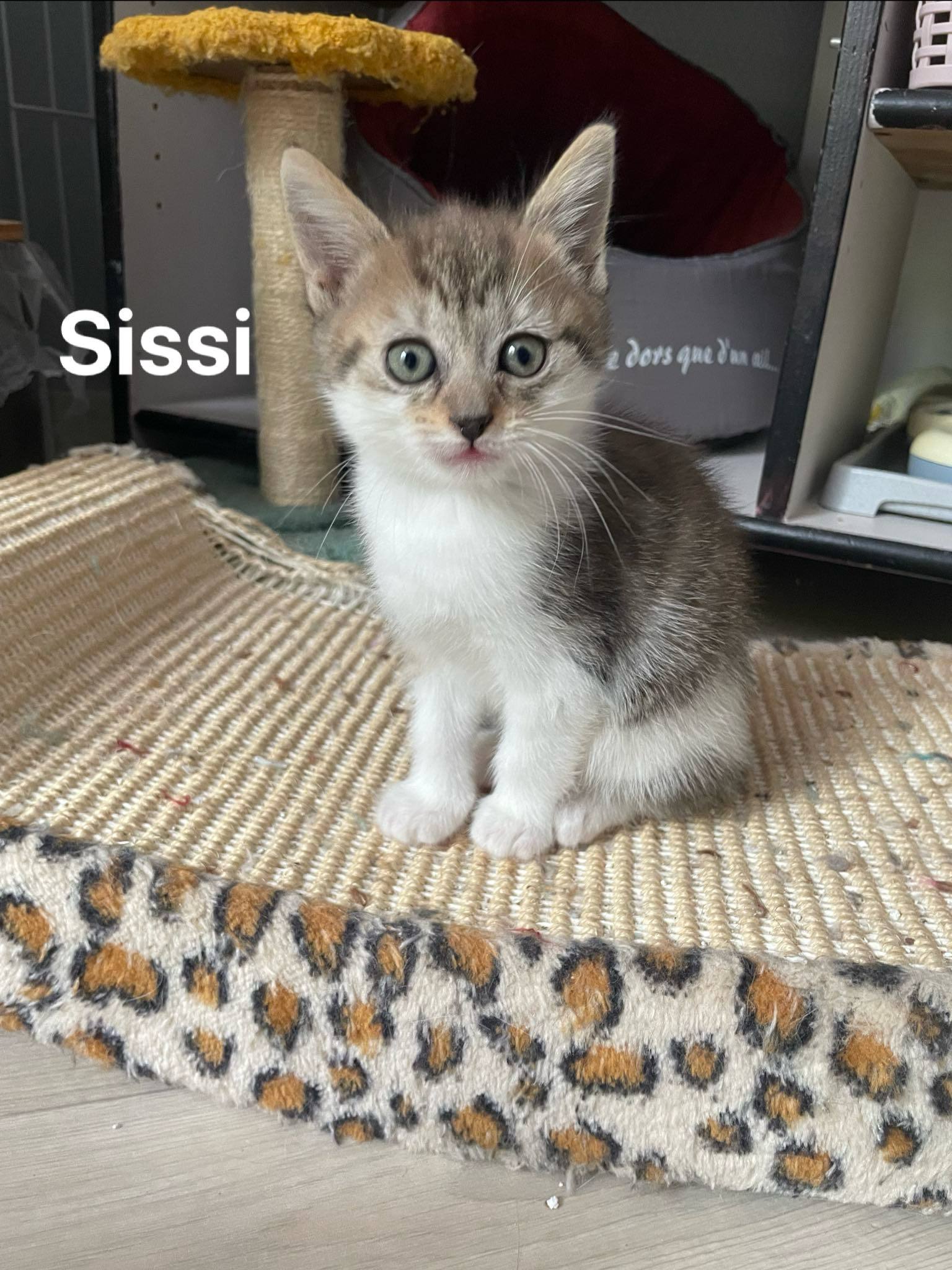 Sissi