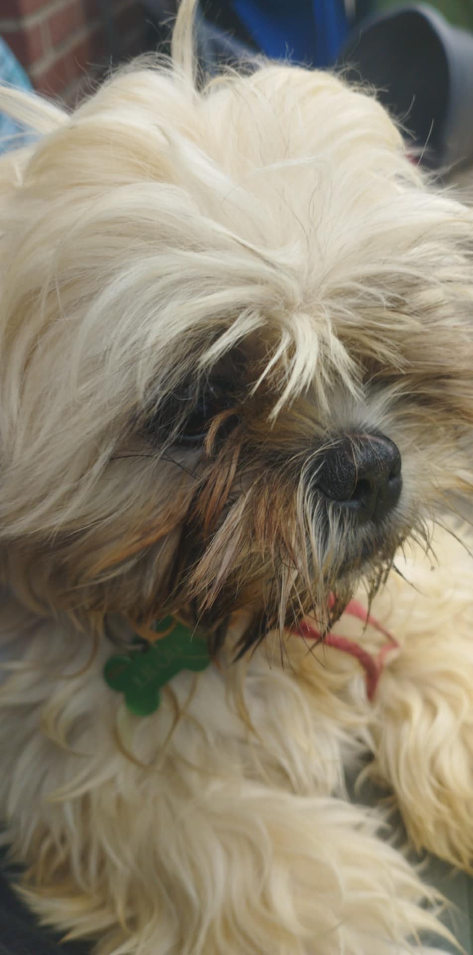 Lilou