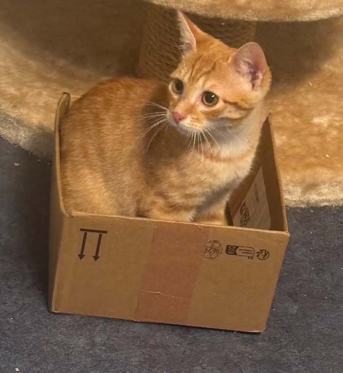 Pablo