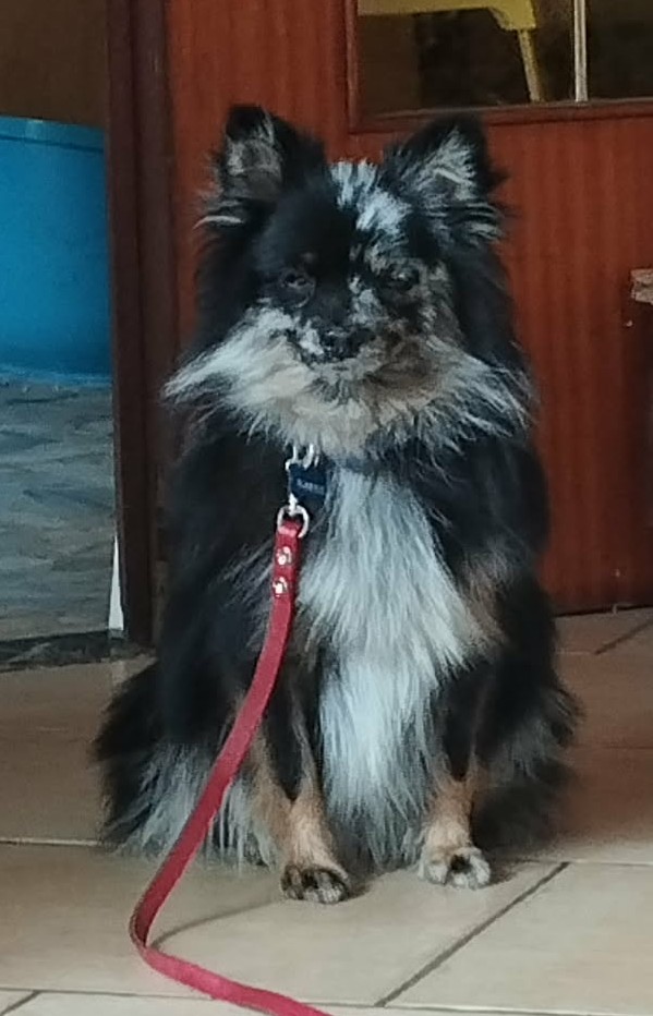 Myra